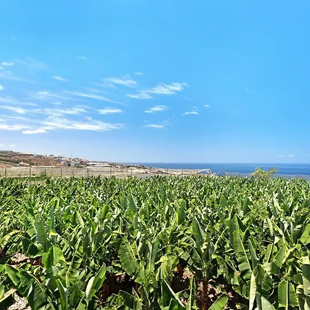 La Calabacera Casa Amarilla By Paramount Holidays Гиа-де-Исора